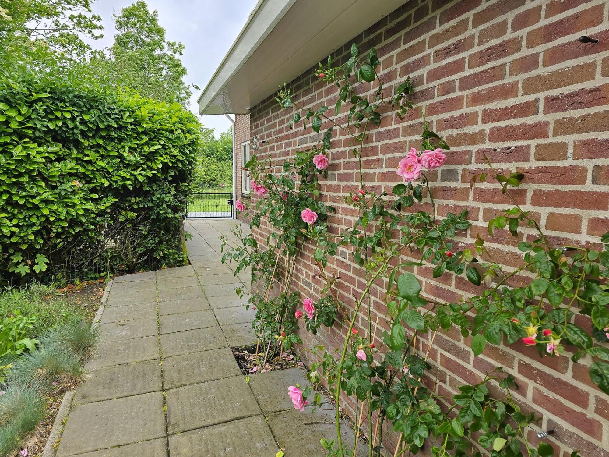 Vakantiehuis Zoutelande Zo05 Buitenkant foto